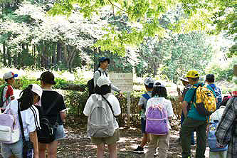 ふるさと考古学通信 vol3